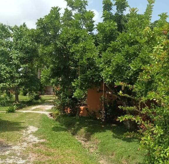 هاستل Fata Morgana Eco