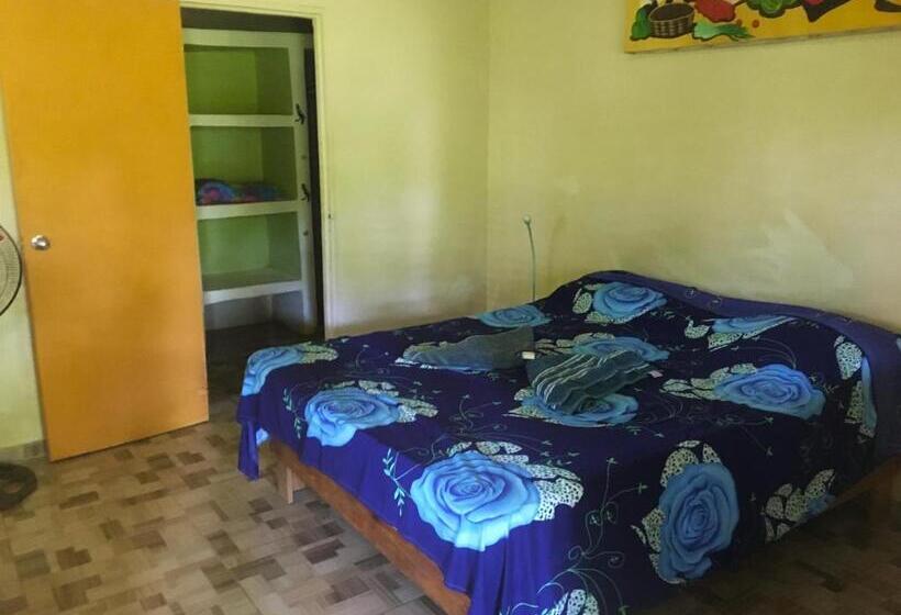 هاستل Fata Morgana Eco