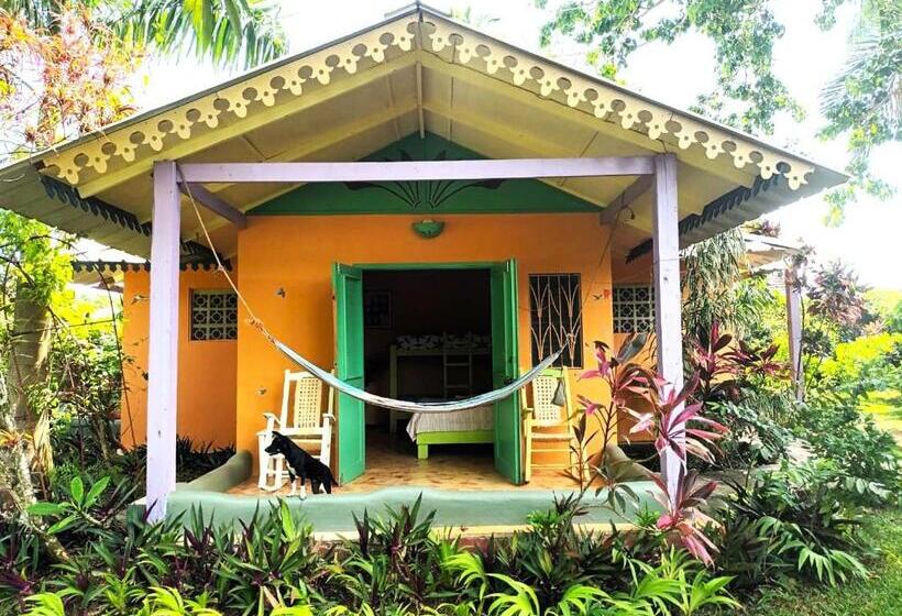 هاستل Fata Morgana Eco