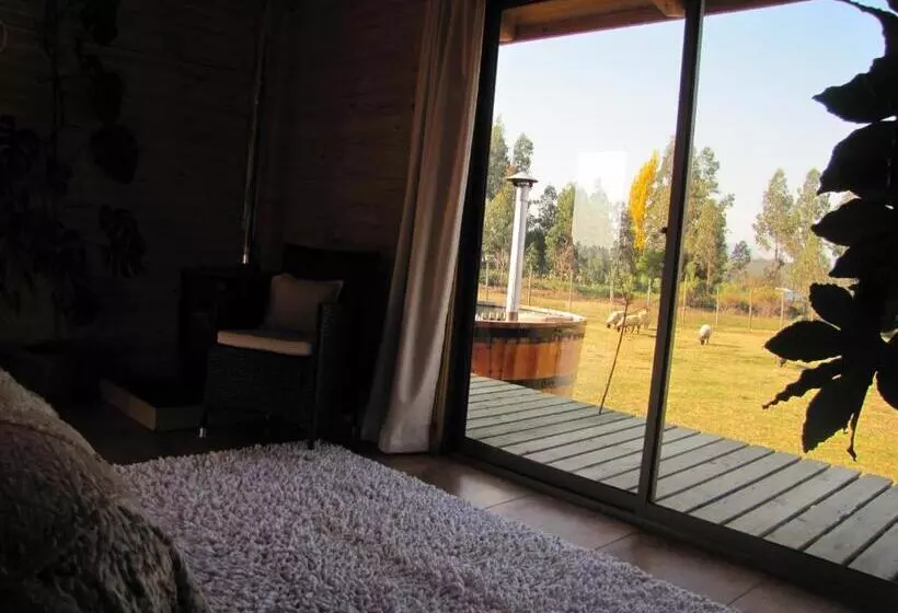 B&b Shambala Hn