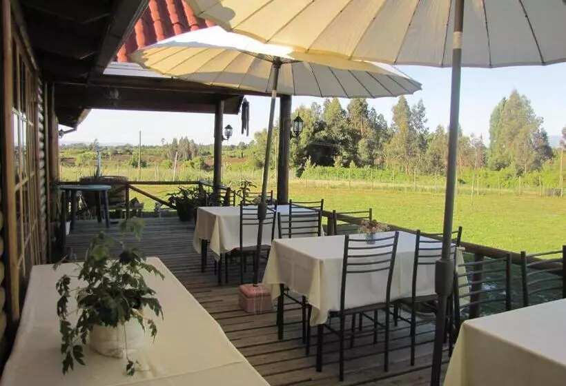 B&b Shambala Hn