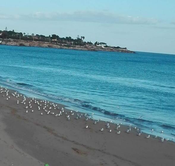 ベッドアンドブレックファースト La Rosa Dei Venti