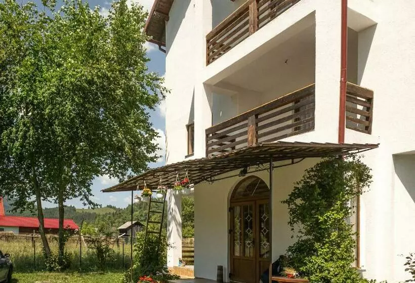 Bed and Breakfast Pensiunea Magda