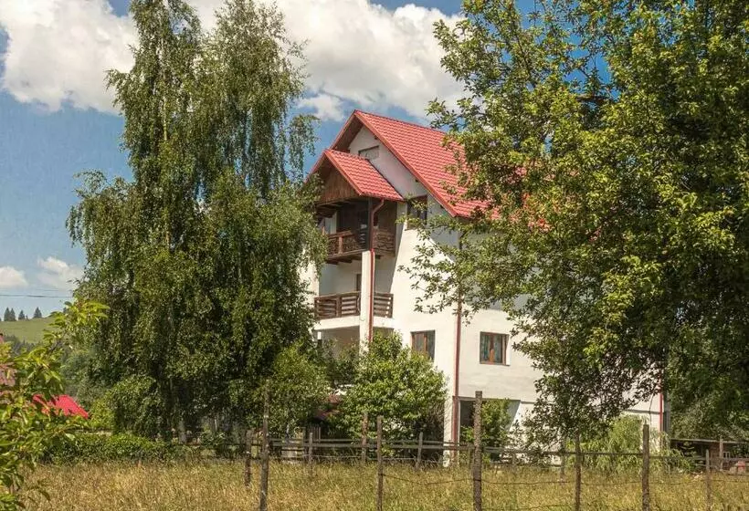 Bed and Breakfast Pensiunea Magda