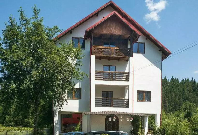 Bed and Breakfast Pensiunea Magda