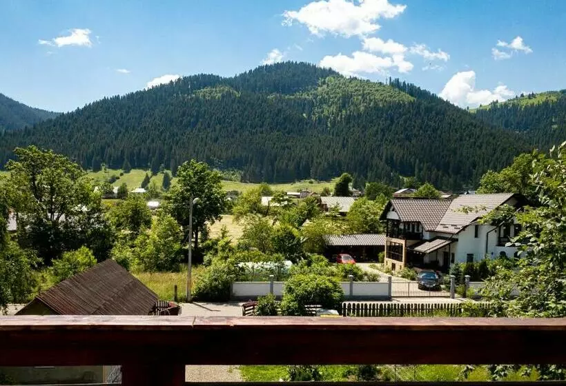 Bed and Breakfast Pensiunea Magda