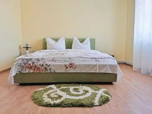 Bed and Breakfast Pensiunea Magda