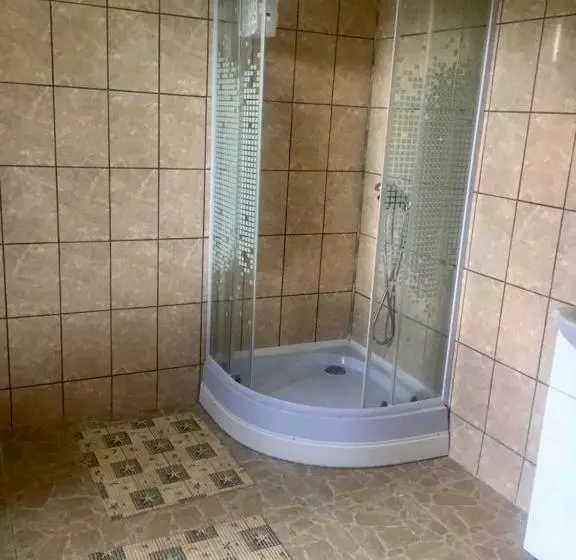 Bed and Breakfast Pensiunea Magda