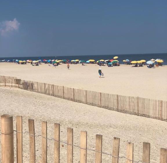 Bed and Breakfast Princess Anne Book Lovers Inn