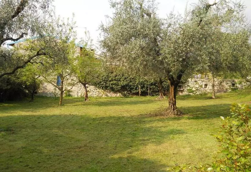 ホテル Albergo Ristorante Aquila