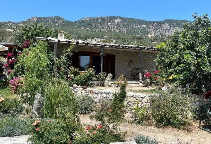هتل Beso Patara