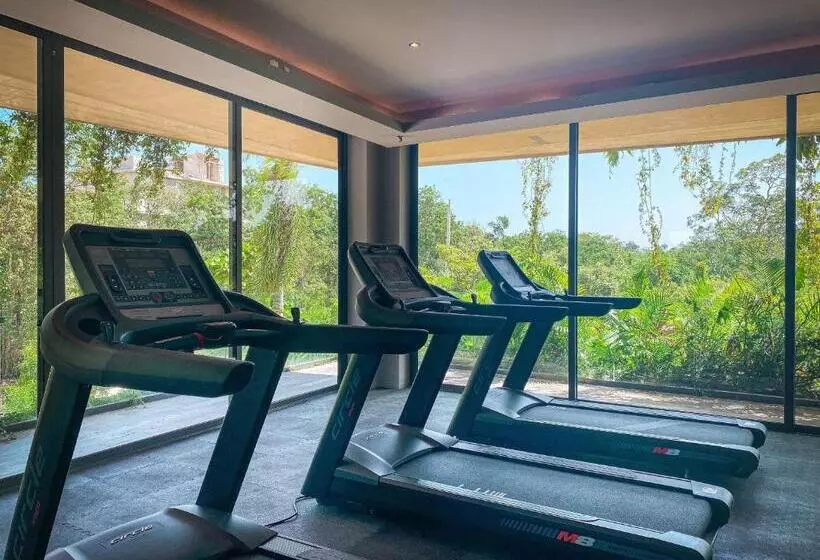 Mistiq Tulum