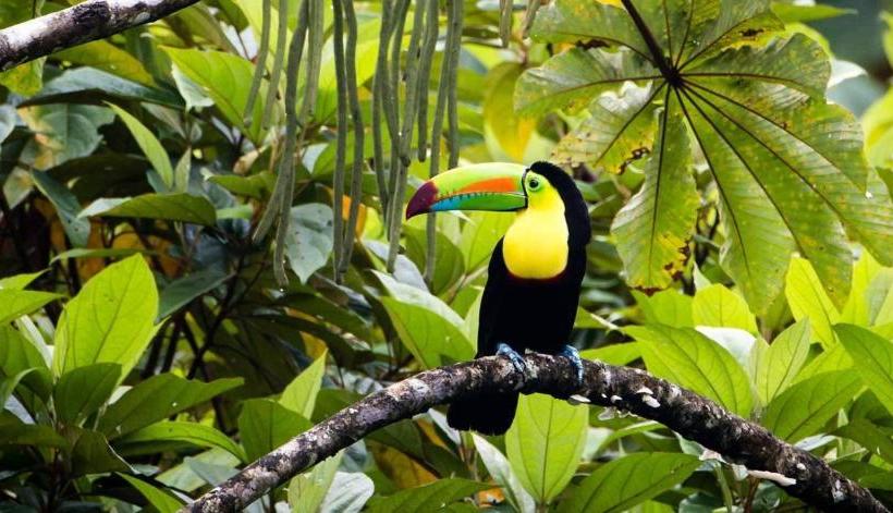 Pension Villa # 3   High End Studio Apartment