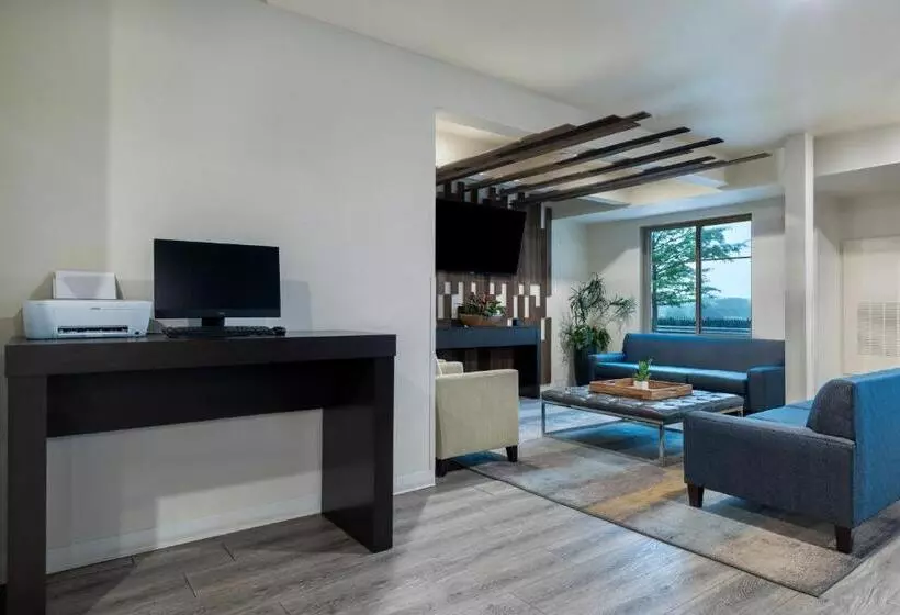 Soka Suites Dallas  Las Colinas