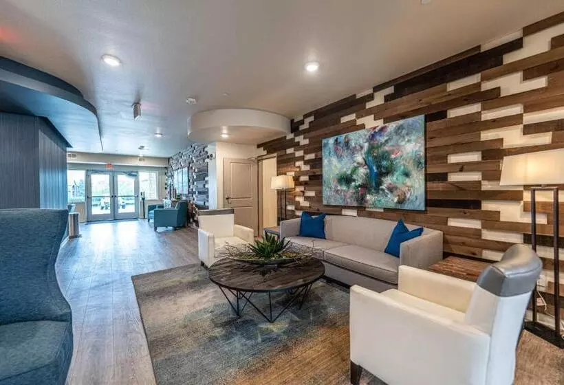 Soka Suites Dallas  Las Colinas