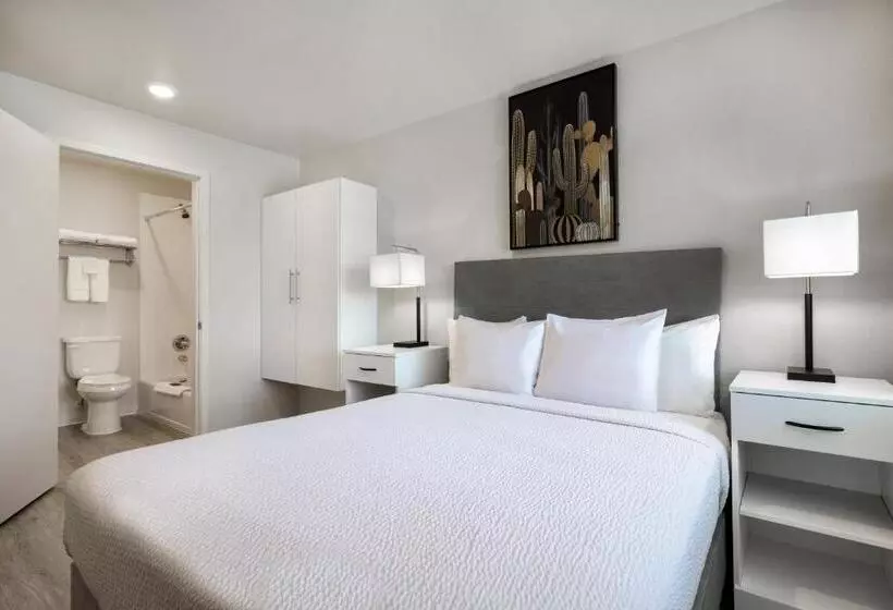 Soka Suites Dallas  Las Colinas