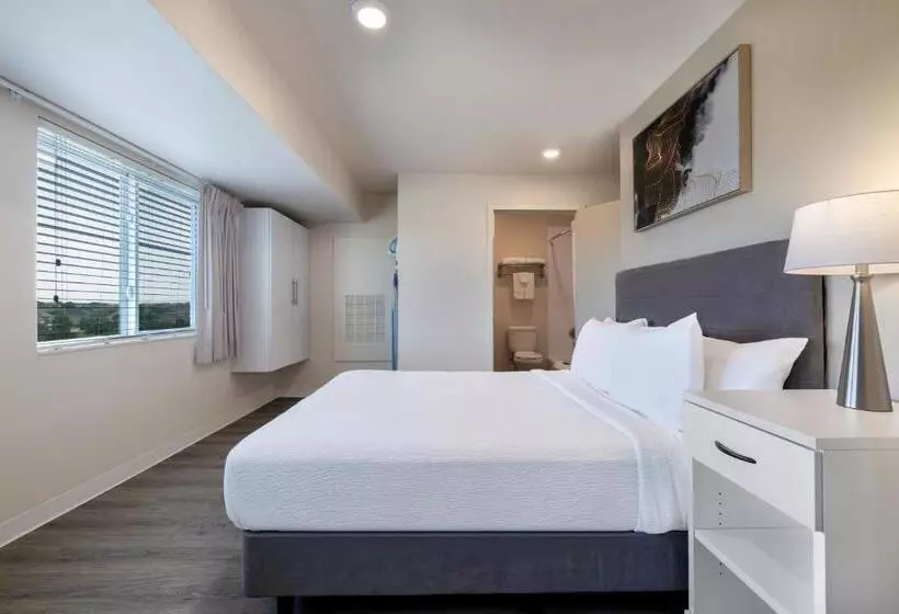Soka Suites Dallas  Las Colinas