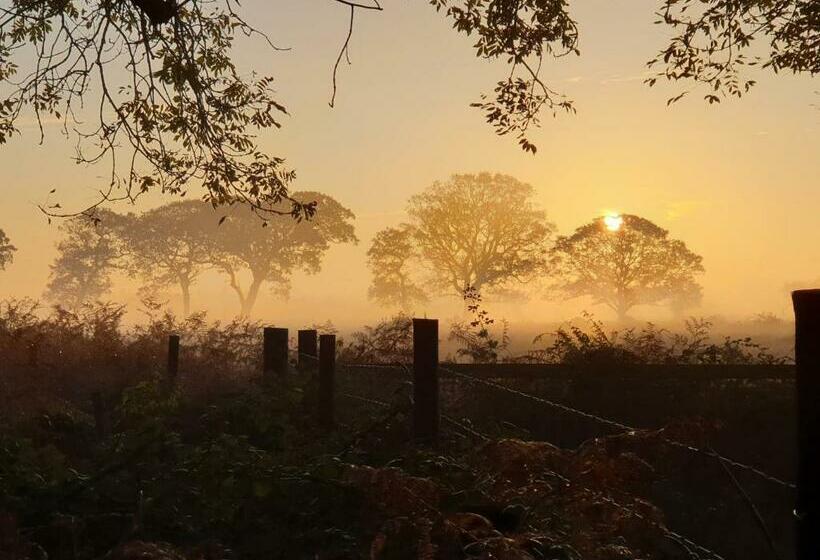 Argyll House Bed And Breakfast