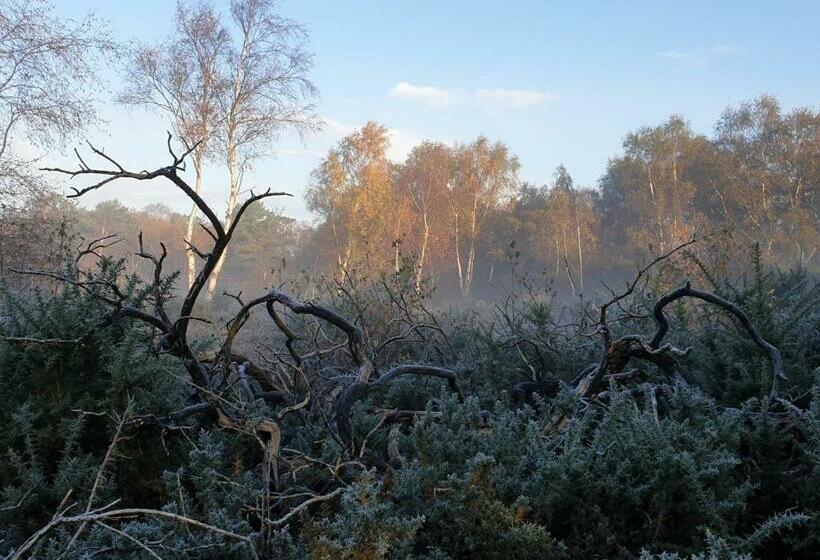 Argyll House Bed And Breakfast