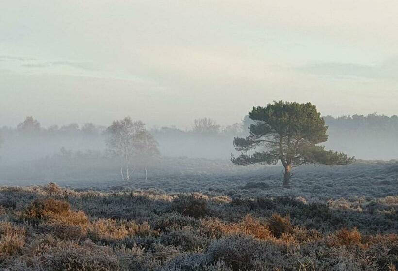 Argyll House Bed And Breakfast