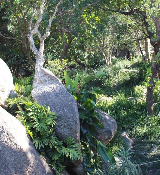 هتل Mogi Boutique