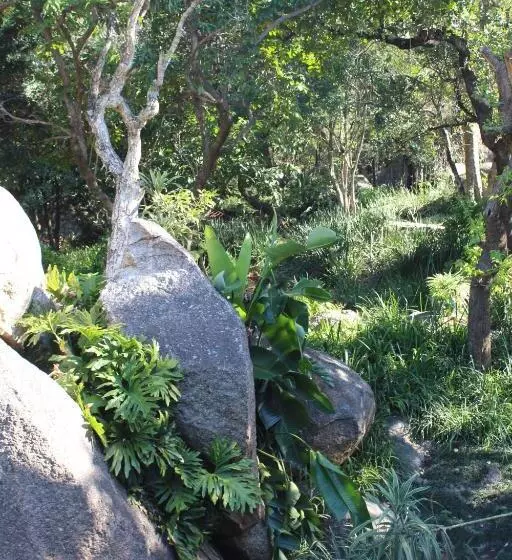 هتل Mogi Boutique