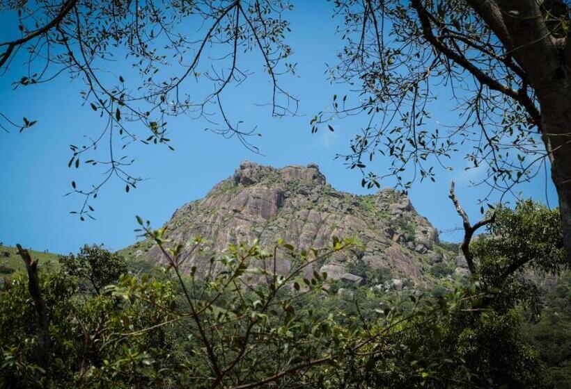 هتل Mogi Boutique