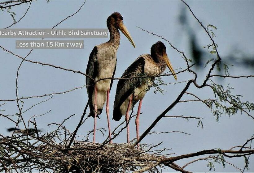 בית מלון כפרי Oyo 80993 Mango Tree