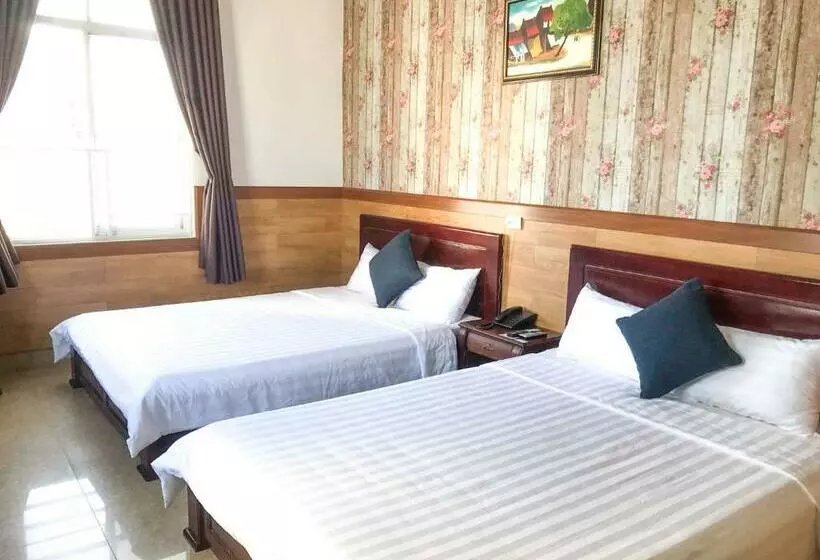 La Cactus Hotel 2