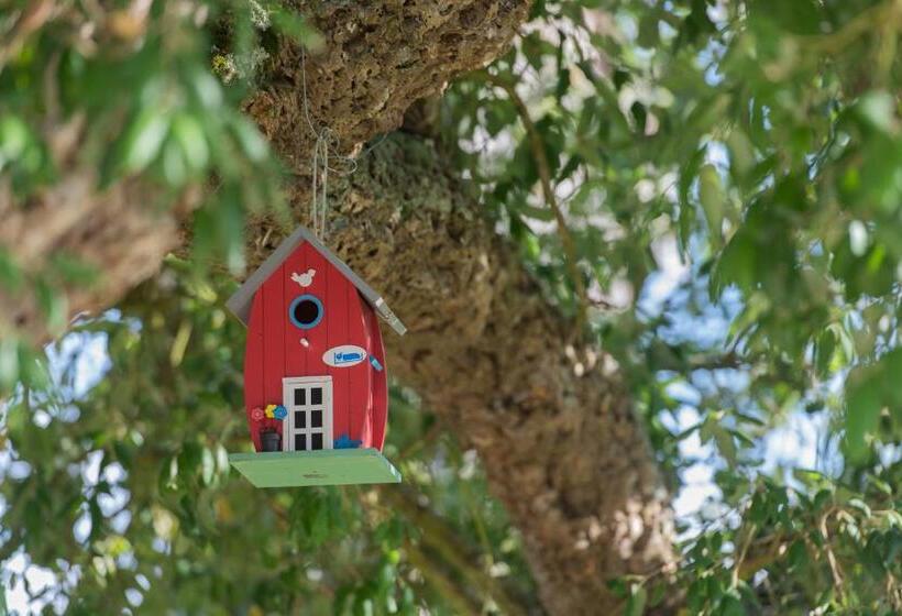 پانسیون Mystay Herdade Do Vale Da Abelheira