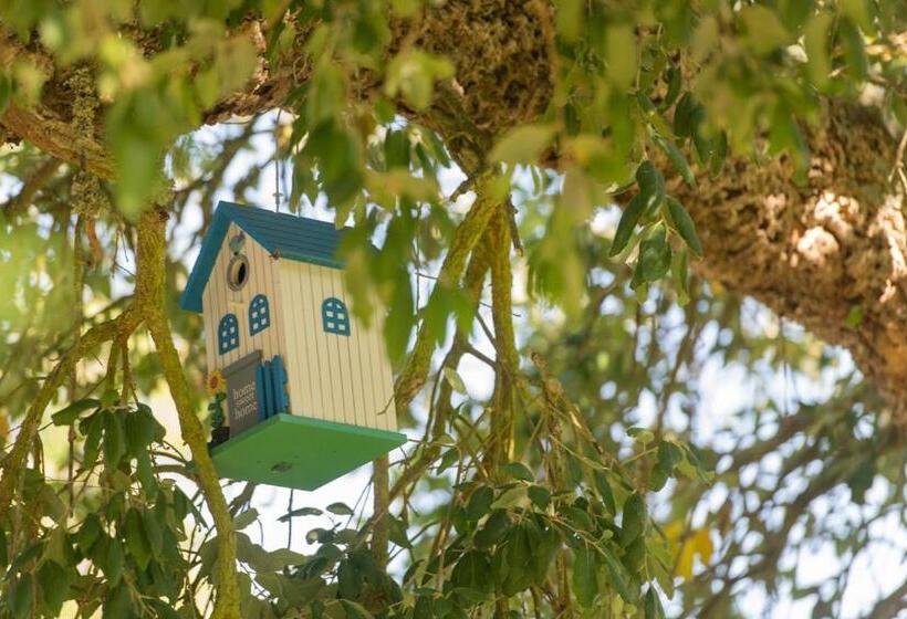 پانسیون Mystay Herdade Do Vale Da Abelheira