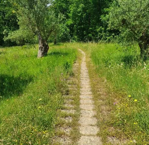 تختخواب و صبحانه Mesogheo