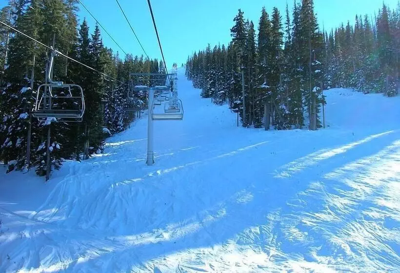 ホテル Reeds Lodge