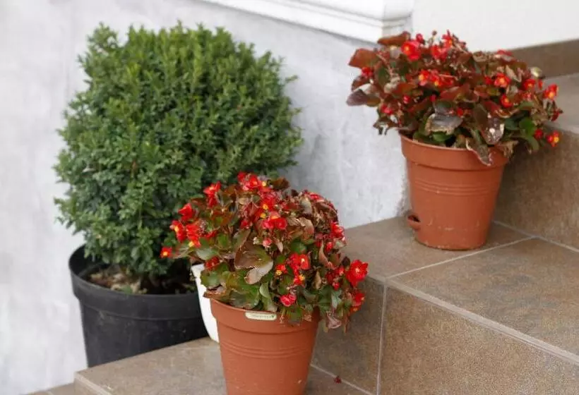 Retkeilymaja Chayka Home