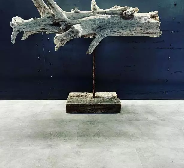 Hotel Albergo Wellness Da Febo