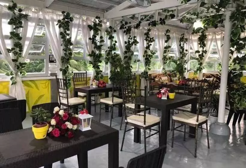 ホテル Casa Bicolandia Suites