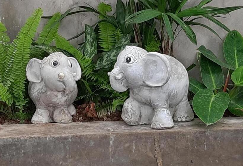 Szálloda Fancy Carp Resort Hua Hin