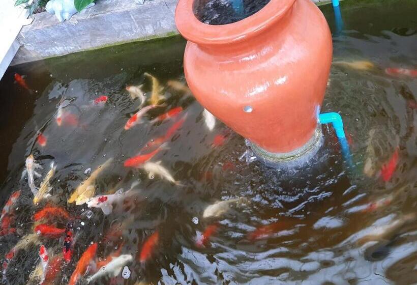 Szálloda Fancy Carp Resort Hua Hin