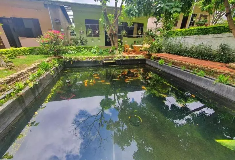 هتل Nhà Nghỉ ThẢo NguyÊn Xanh