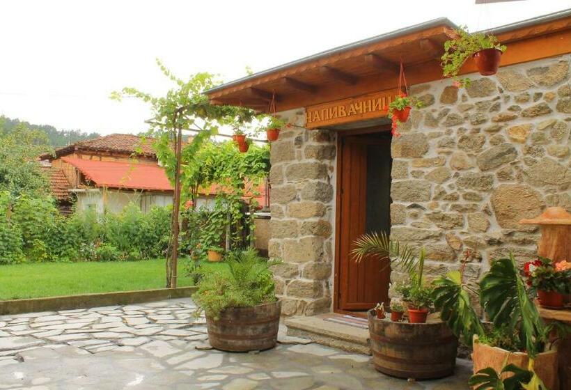 Пансион стаи за гости диневи