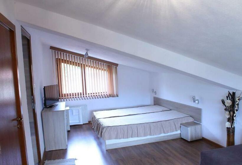 Пансион стаи за гости диневи