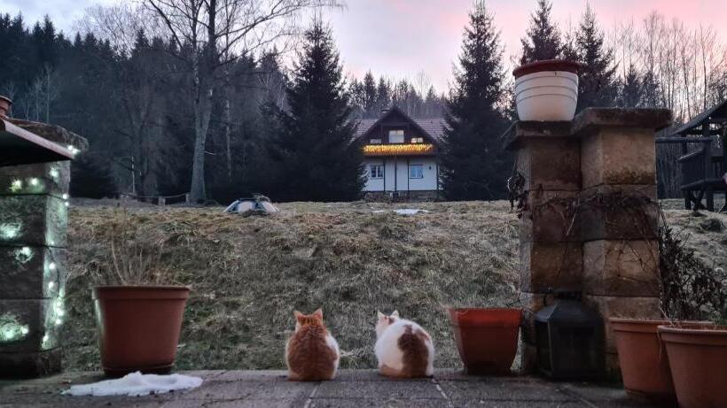 펜션 Královský Dvůr Bílý Potok