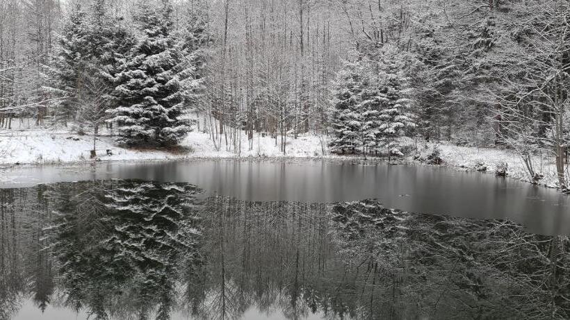 펜션 Královský Dvůr Bílý Potok