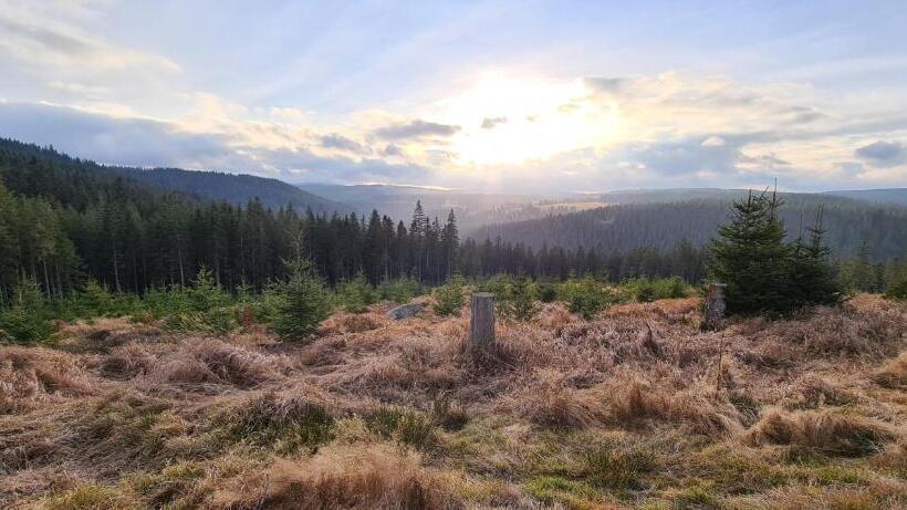 펜션 Královský Dvůr Bílý Potok