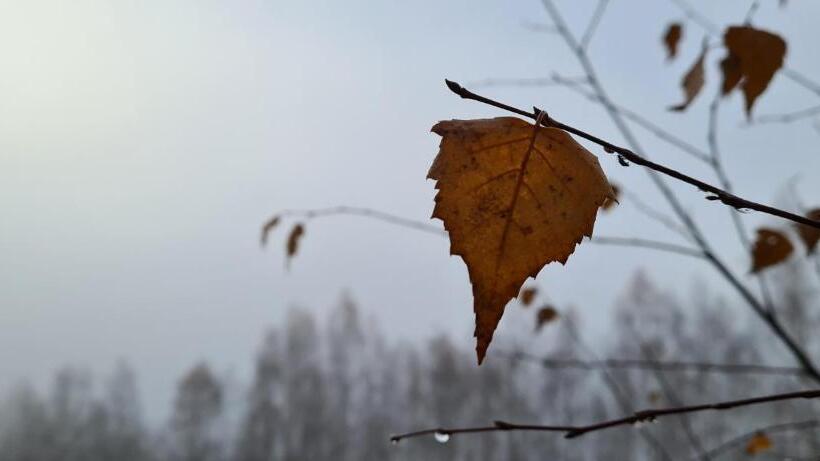 펜션 Královský Dvůr Bílý Potok