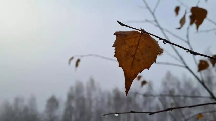 ペンション Královský Dvůr Bílý Potok