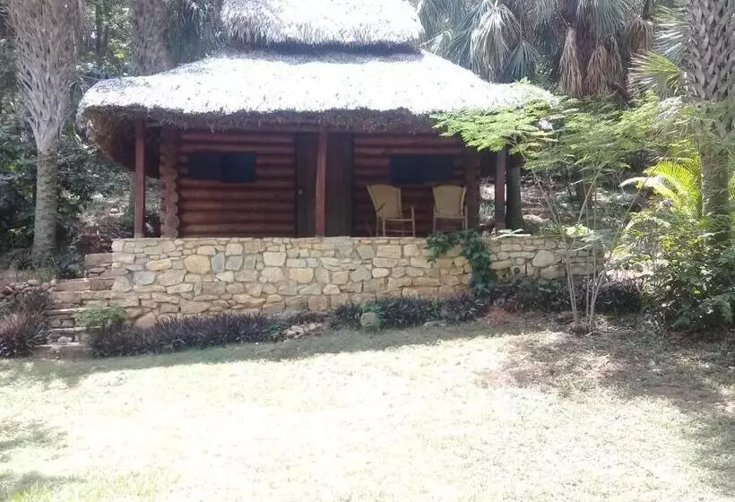 ペンション Sierraverde Huasteca Potosina The Cedar