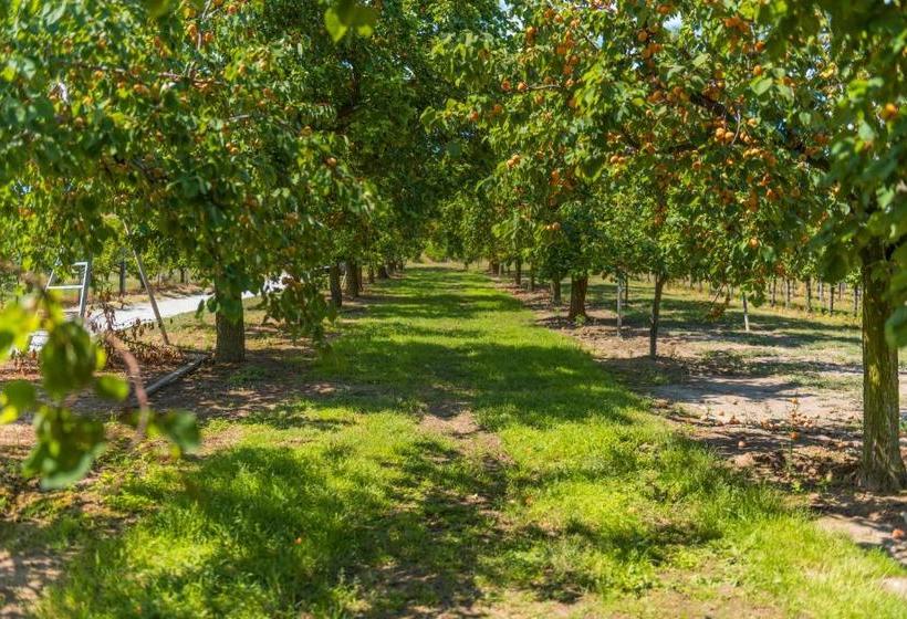 Пансион Weinhof   Gästehaus Maier