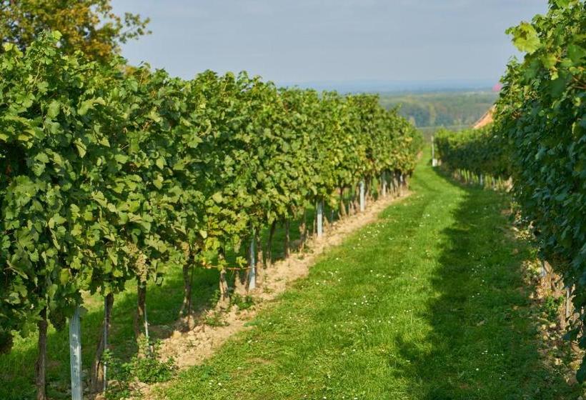 Пансион Weinhof   Gästehaus Maier