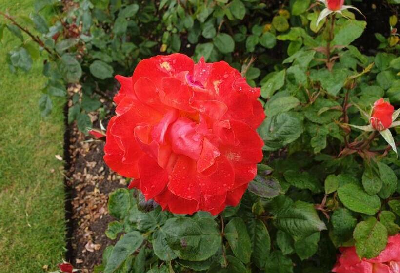 Pensiunea Passiflora